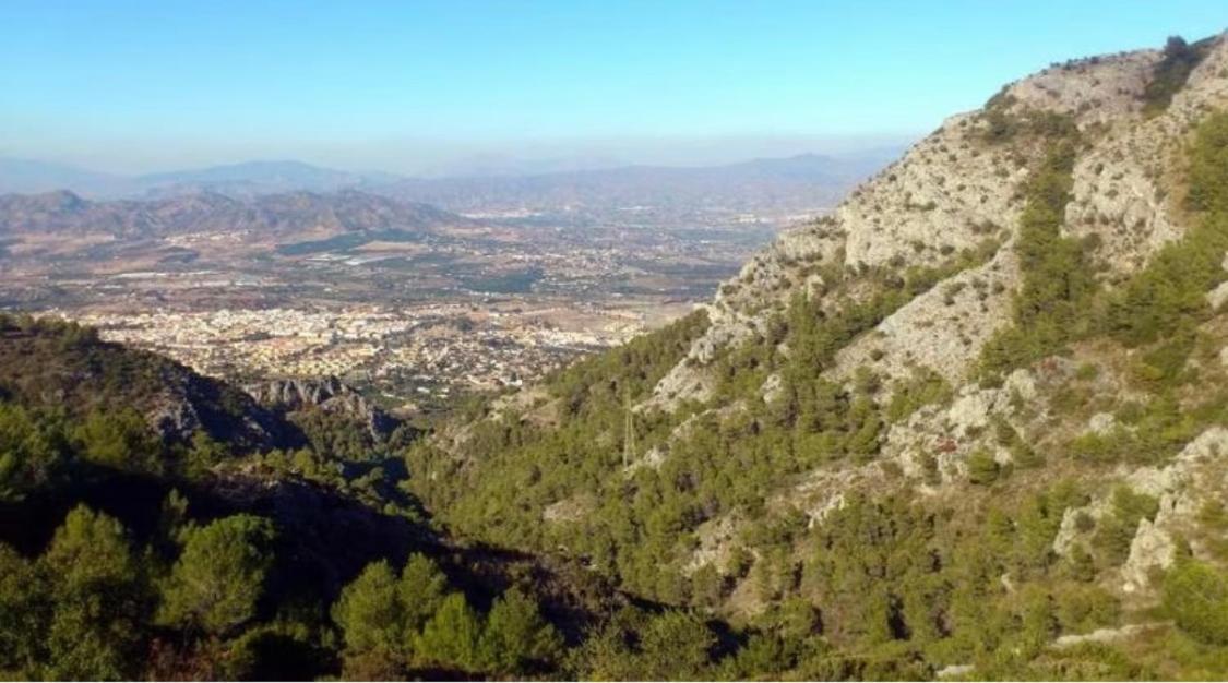 Apartamento Biznaga Alhaurín de la Torre Dış mekan fotoğraf